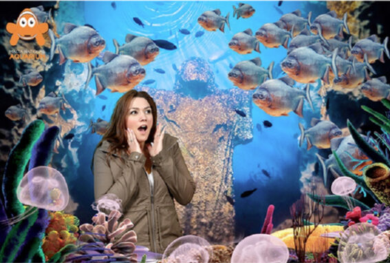 Malta-National-Aquarium- Women standing and looking at fish and jelly fish.