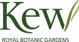 Christmas at Kew Gardens