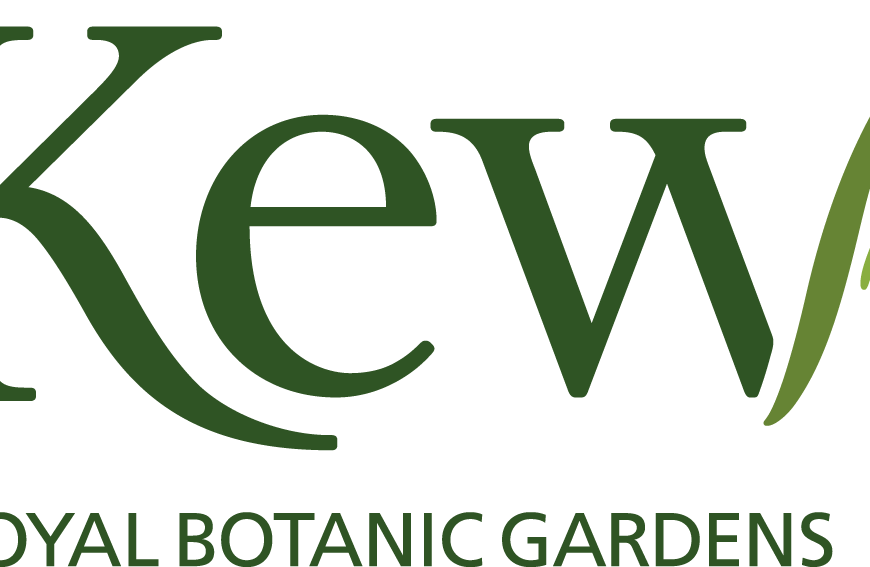 Christmas at Kew Gardens