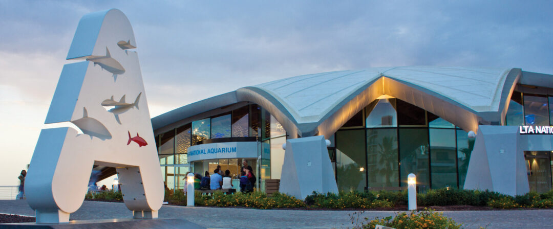 Large banner image of the Malta Aquarium building.